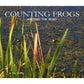 Counting Frogs Around the Pond
