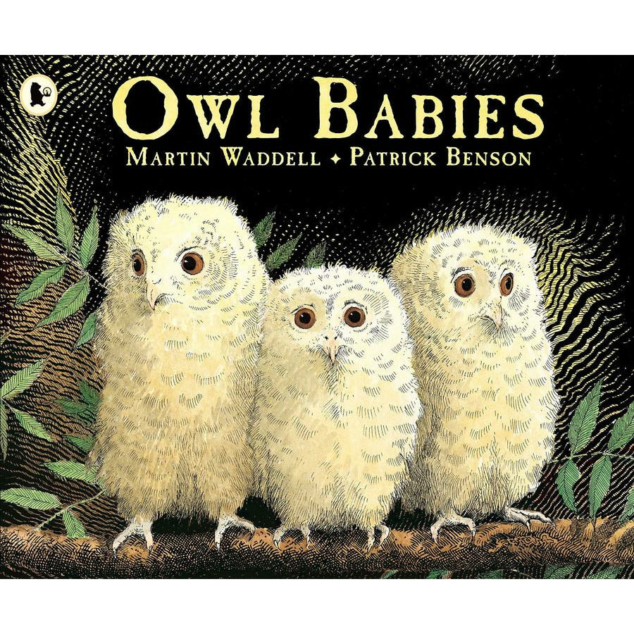 Owl Babies (Big Book)