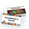 Level 3 Vocabulary Cards