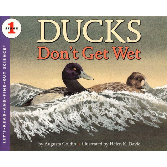 Ducks Don’t Get Wet